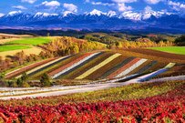 【全国旅行支援】2023年11月14日更新！11月以降の宿泊・ツアーを販売する旅行予約サイトまとめ 