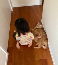 人形と猫の間に座る長女　それぞれにとった行動にホッコリ「将来が楽しみ」
