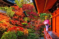 【2023年秋】京都の定番紅葉スポット5選！東京から京都までの交通手段と交通費も解説