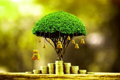厚生年金「高額受給者」ゾーンの保険料ってどのくらい？