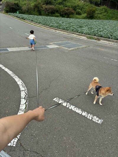 3人とも行きたい方向が違う