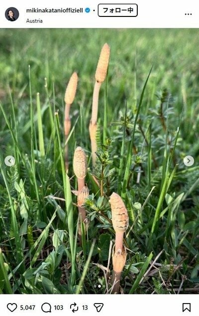 中谷美紀のInstagram投稿