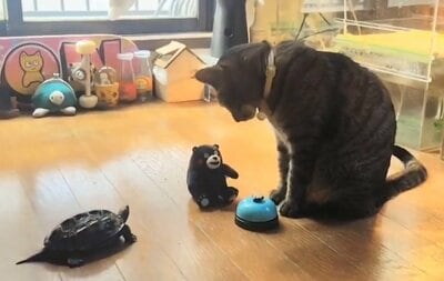 予想外の反応に思わずぬいぐるみを見つめる二人