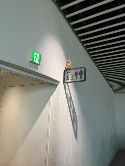 トイレの案内看板