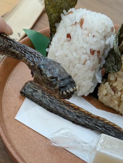 わらすぼの干物