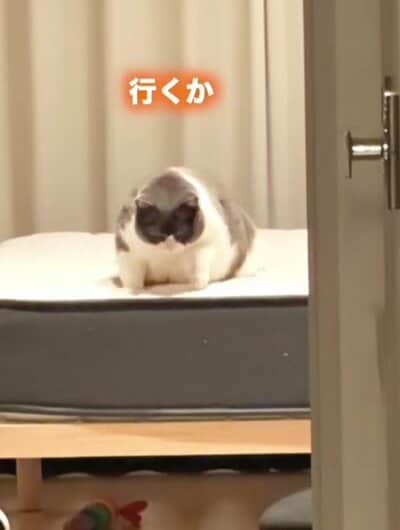 「行くか」とようやく起き上がるまるちゃん
