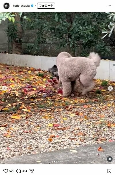 工藤静香のInstagram投稿