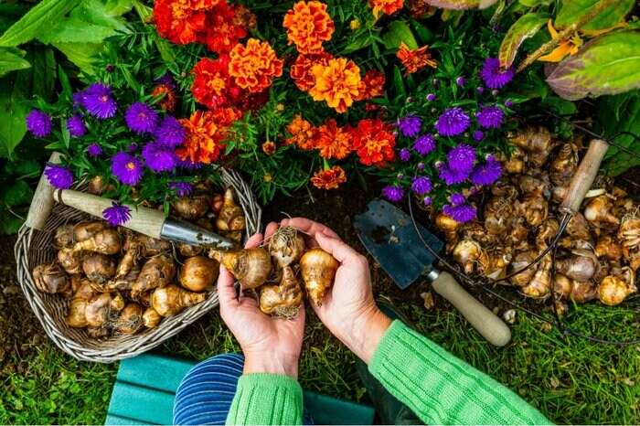 iMarzi/shutterstock.com