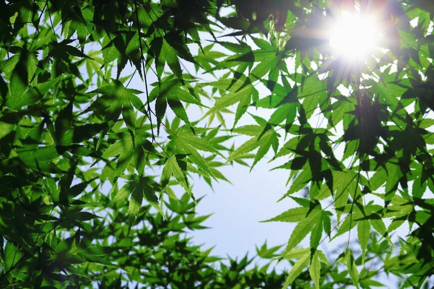 Free art director/istockphoto.com