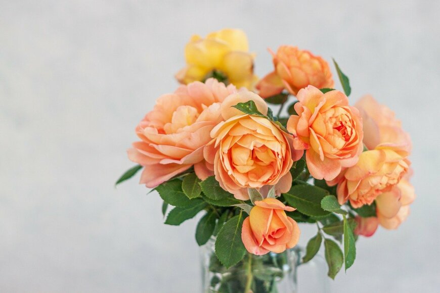 Natalia Samorodskaia/istockphoto.com