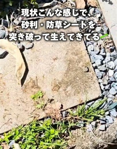 【雑草対策】20万円で購入したゴミ屋敷の〈外階段〉→砂を敷きつめて水を撒くだけで〈雑草に負けないスッキリ空間〉に整備！