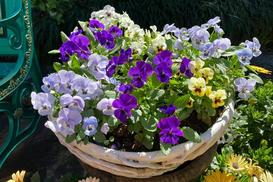 SUJITRA CHAOWDEE/Shutterstock.com