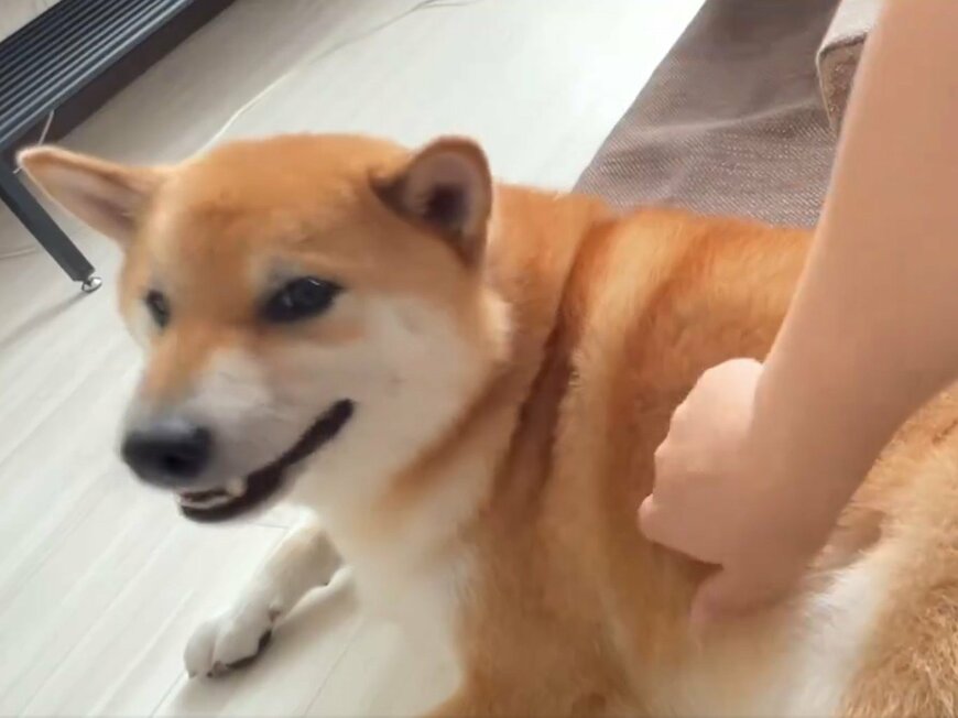 出所：@fufufufufu_ta