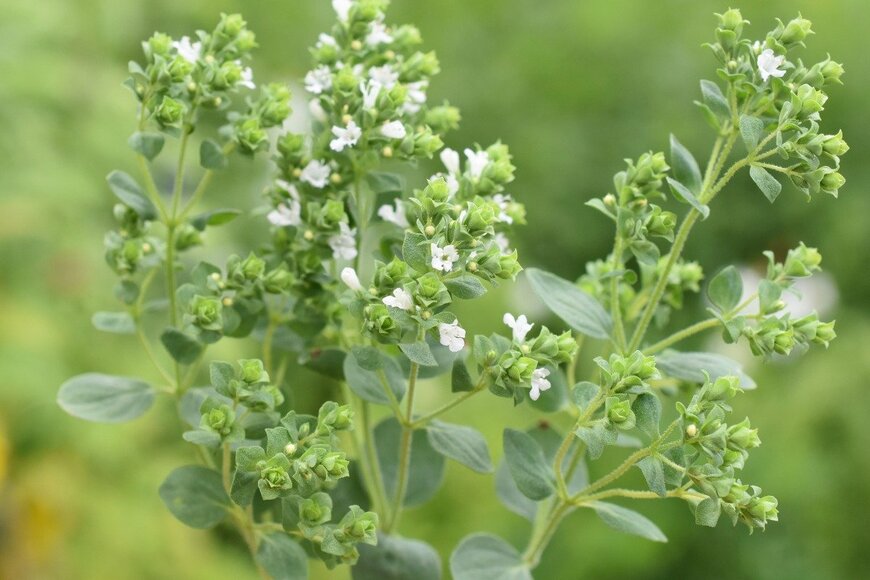 HHelene/istockphoto,com