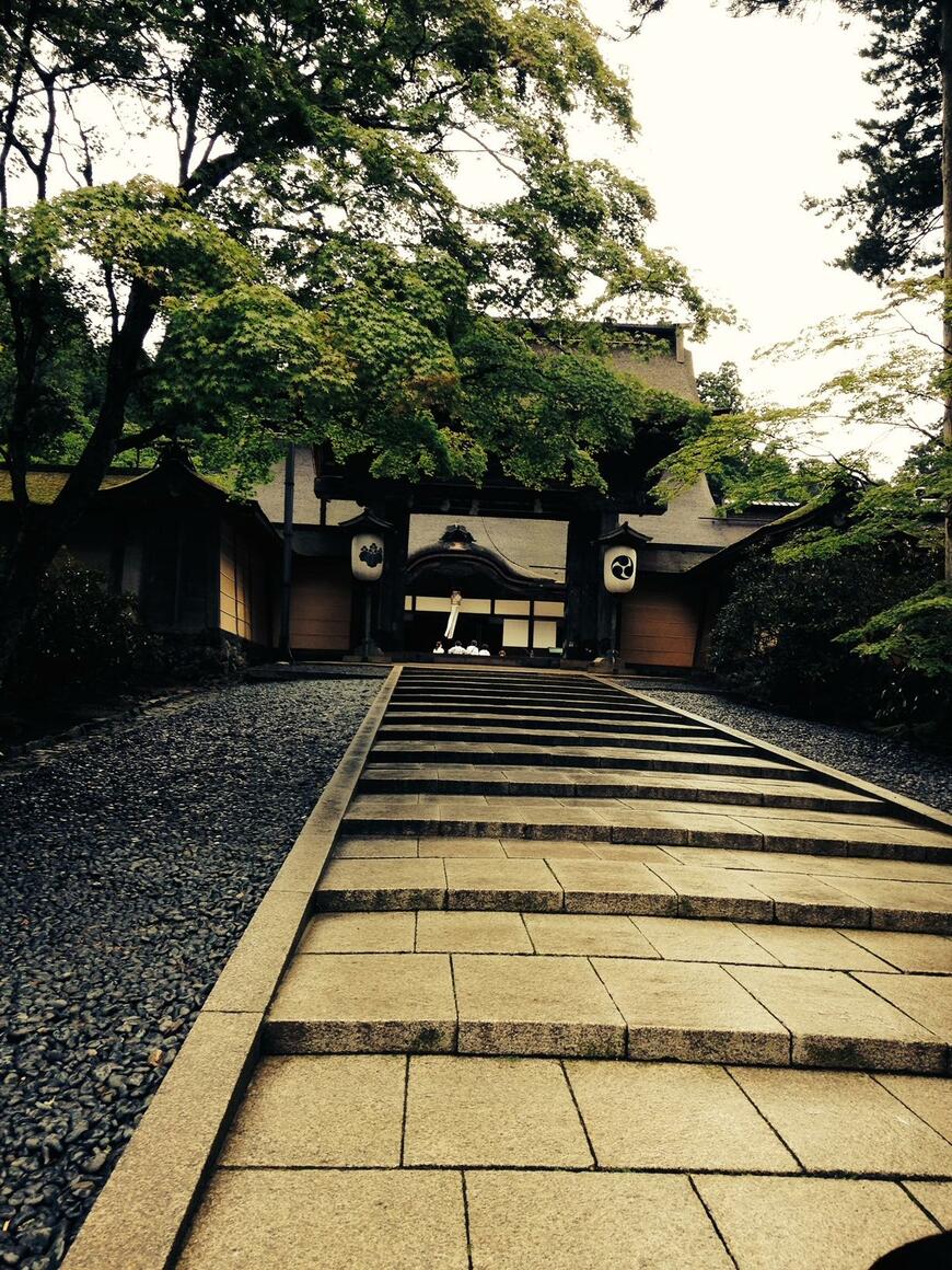 写真：筆者撮影