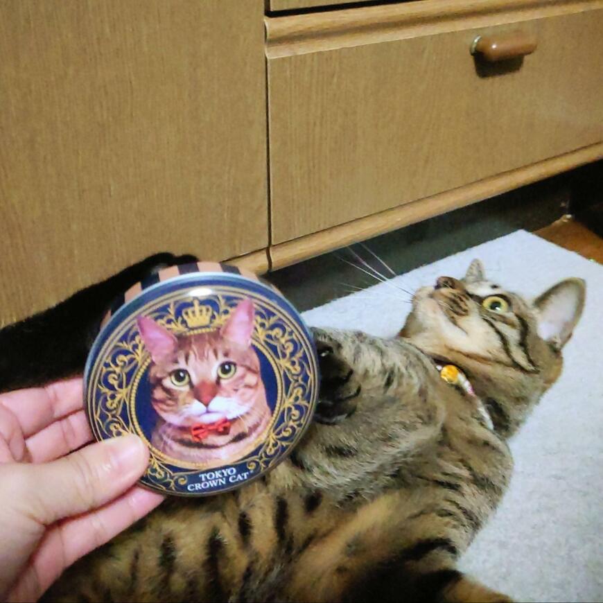 出所：@Mh0MLiErcV8E97C