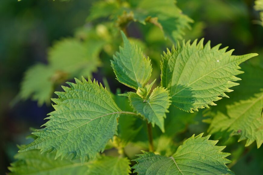 EQRoy/Shutterstock.com