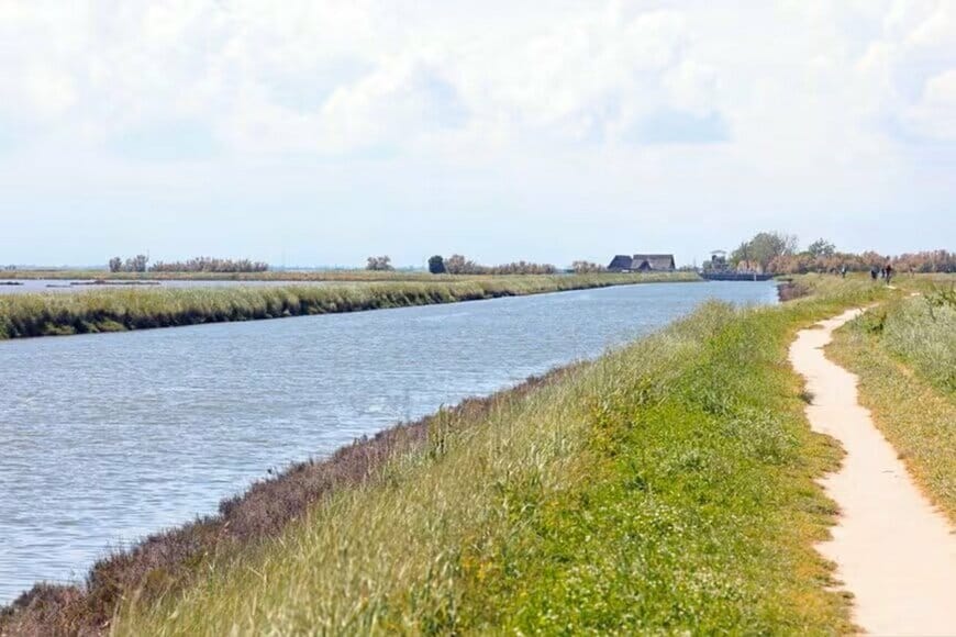 川沿いを散歩中に発見した「巨大な物体」に思わず目を疑う　その後の展開に「センスありすぎ」