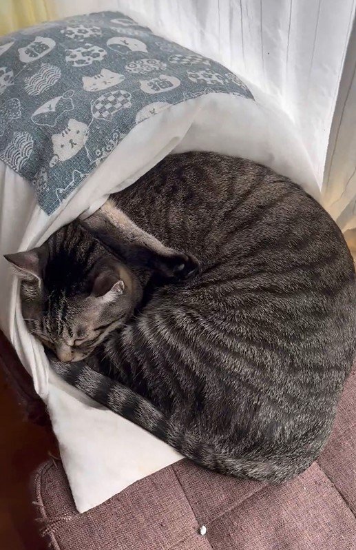 出所：@kagisuzu0531