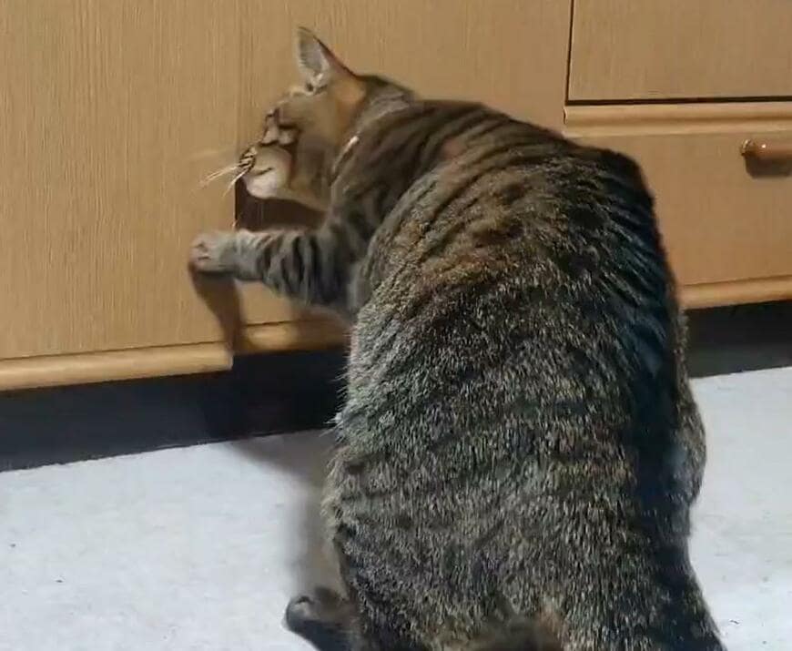 出所：@Mh0MLiErcV8E97C