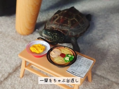 出所：＠kusa.kame.gunso