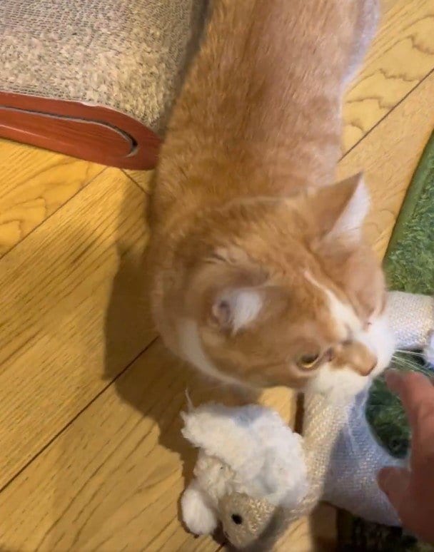 出所：@kotaro_0315