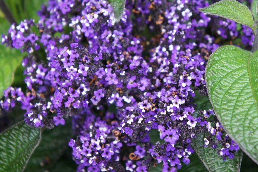 skymoon13/istockphoto.com