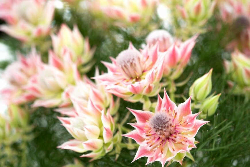 y-studio/istockphoto.com