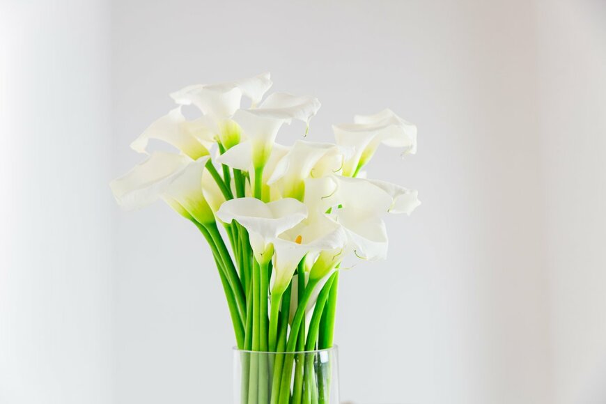 Fotosr52/Shutterstock.com