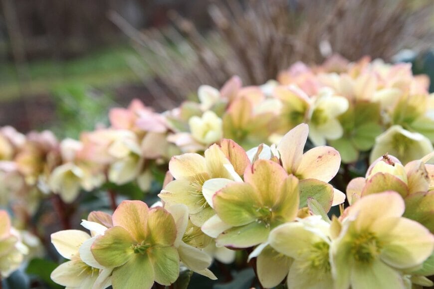 Daina Varpina/shutterstock.com