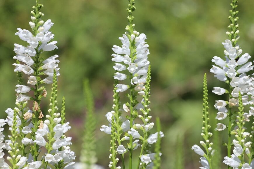 Kabar/shutterstock.com