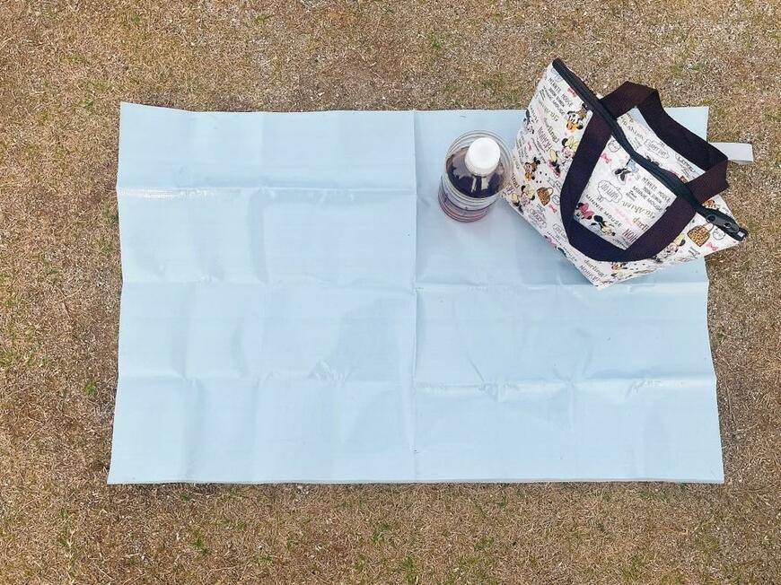 コンパクトレジャーシート