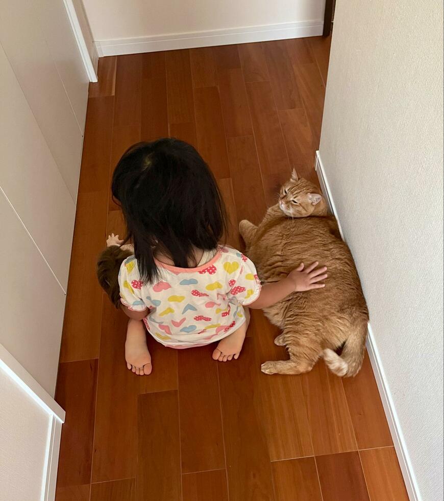人形と猫をあやす女の子の後ろ姿