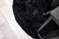 自宅にいるはずの猫が見つからない…　くつろいでいたまさかの場所に「完全同化してる」「隠れ身の術すごい」