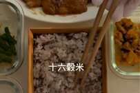 【生姜焼き弁当】きれいなお弁当作りのポイントを解説！彩り豊かな美しいお弁当が話題