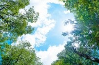 「傷病手当金」は退職後も受け取れる？資格喪失後の継続給付、押さえておきたい2つの条件