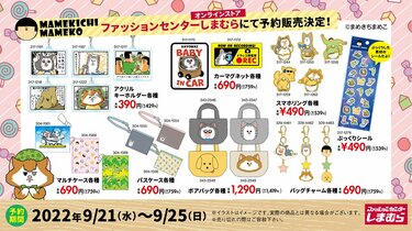 しまむら✕まめきちまめこ】『大型コラボ』がSNSで話題。アニメ化決定で大注目 | 3ページ目 | LIMO | くらしとお金の経済メディア