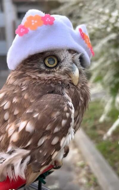 投稿動画のワンシーン