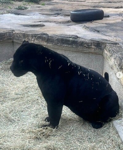 愛媛県立とべ動物園