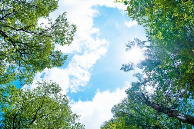 「傷病手当金」は退職後も受け取れる？資格喪失後の継続給付、押さえておきたい2つの条件