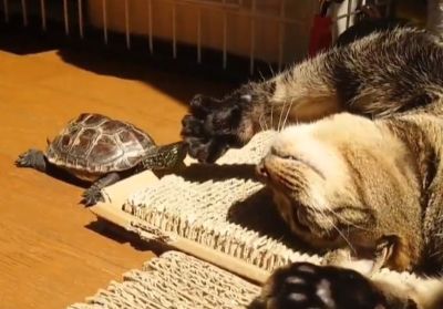 出所：@Mh0MLiErcV8E97C