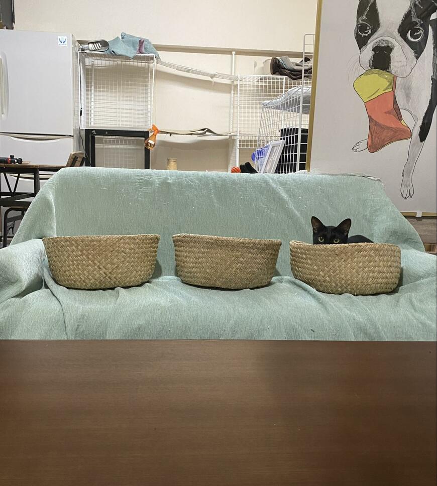 出所：@00shitemita