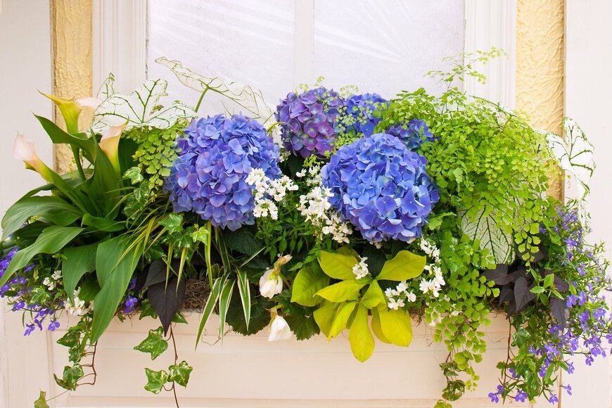 Ami Parikh/Shutterstock.com