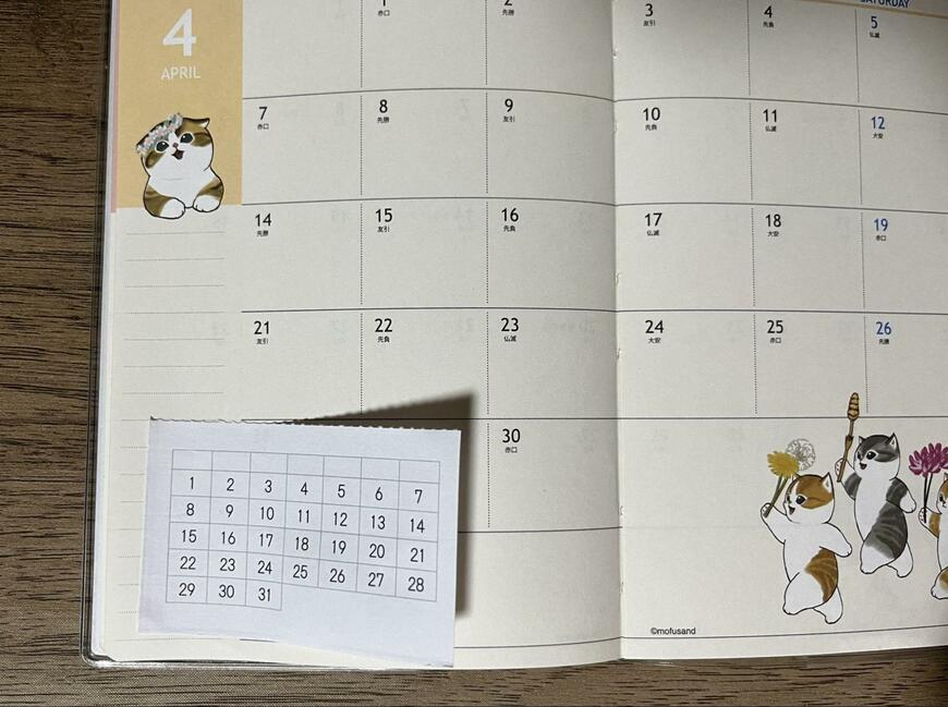 筆者撮影（キャンドゥ、ハビットトラッカー 15枚 ミシン目入）