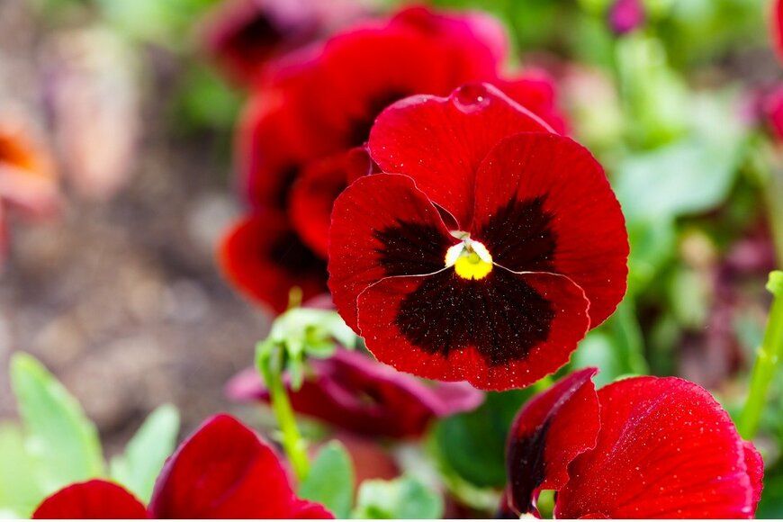 Mathisa_s/istockphoto.com