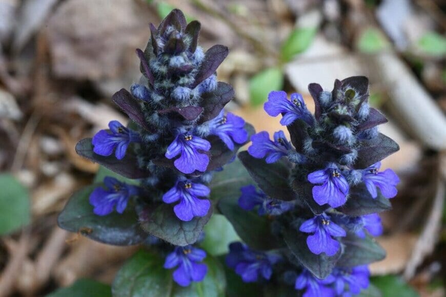 undefined undefined/istockphoto.com