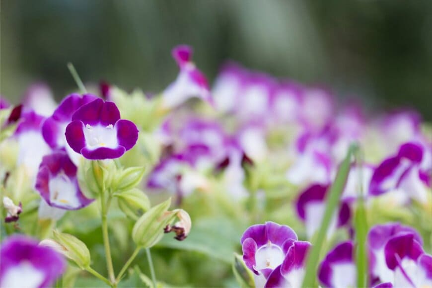 1550539/istockphoto.com