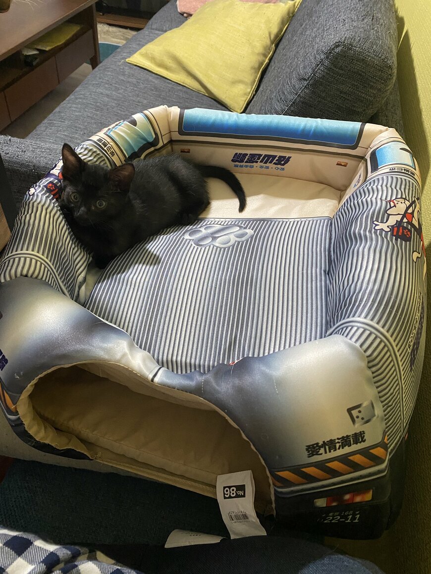 出所：@00shitemita