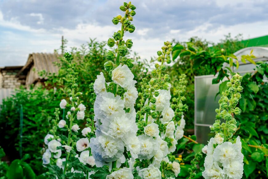 Vronivis/Shutterstock.com