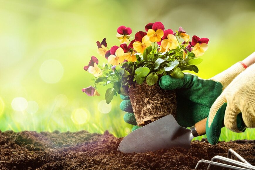 RomoloTavani/istockphoto.com